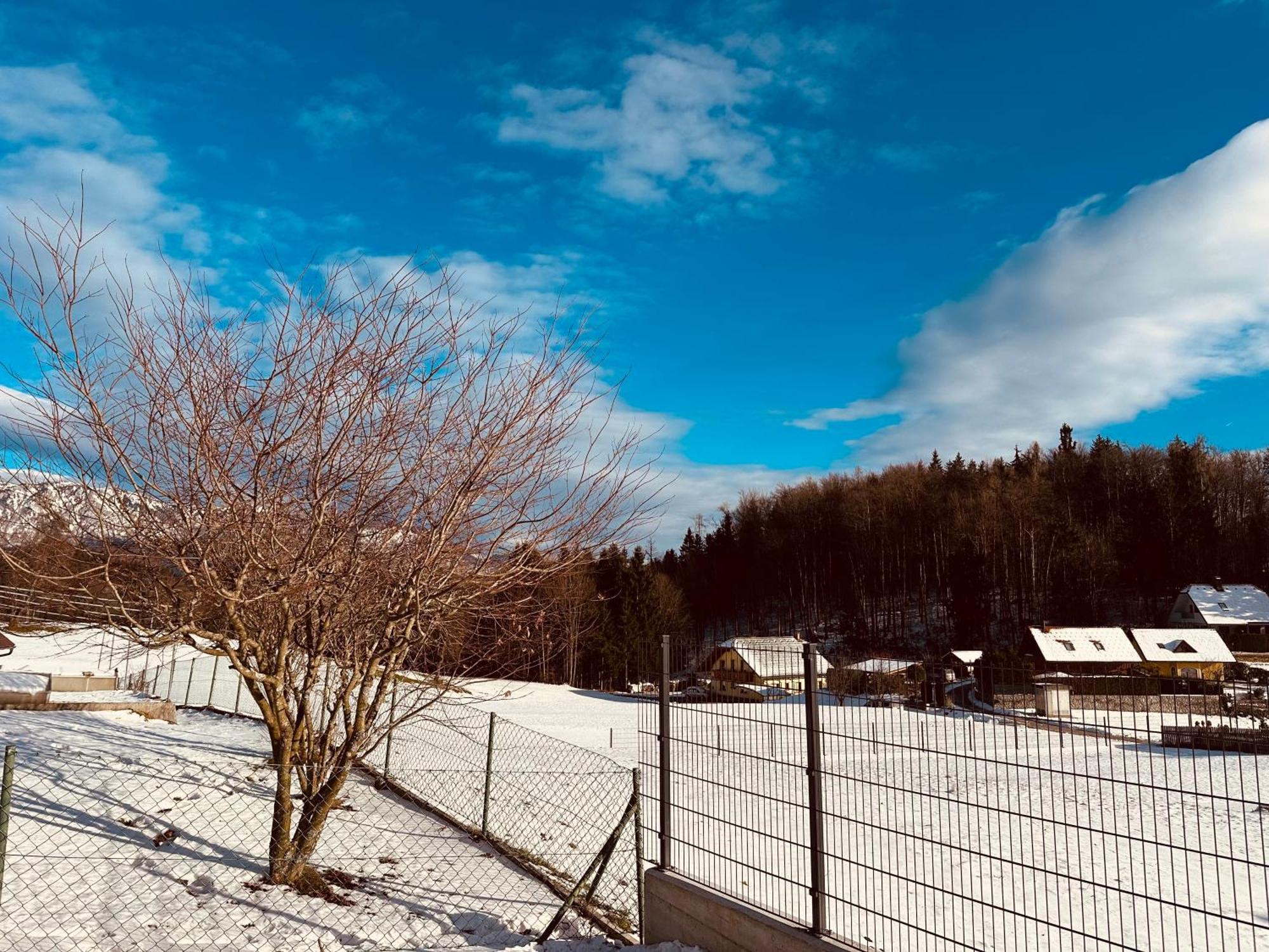 Chalet Pjagodic Cerklje na Gorenjskem Exterior foto